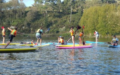 Stand Up Paddle Boarding